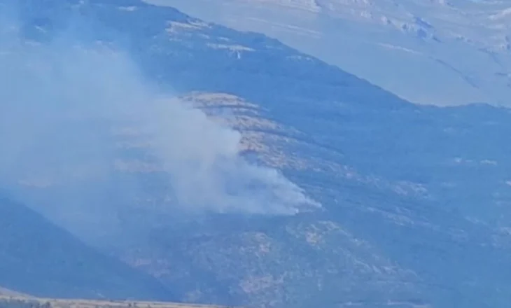 Zjarr në një sipërfaqeje me pyje dushku në Has, temperaturat e larta favorizojnë përhapjen e flakëve