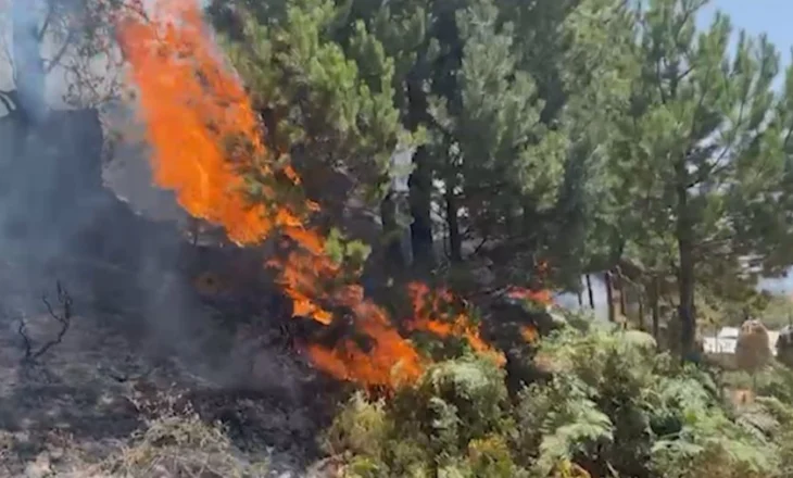 Zjarr në pikën doganore të Goricës, pezullohet kalimi i mjeteve