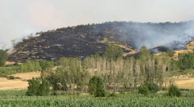 Zjarr në Pogradec, flakët përhapen me shpejtësi të favorizuara nga era