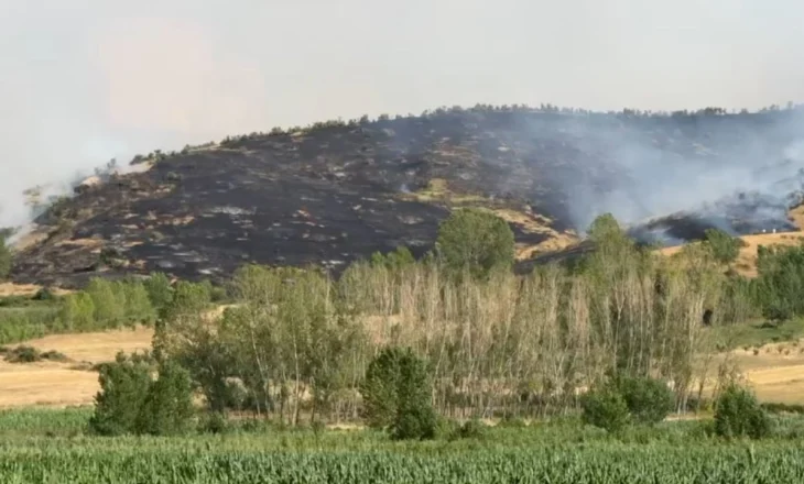Zjarr në Pogradec, flakët po përhapen me shpejtësi të favorizuara nga era