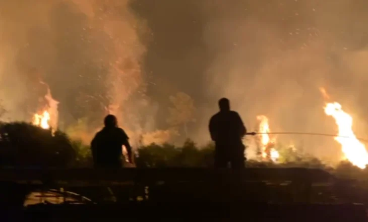 Zjarr në pyllin mes Malçanit dhe Grazhdanit, kërkohet ndërhyrje me helikopter