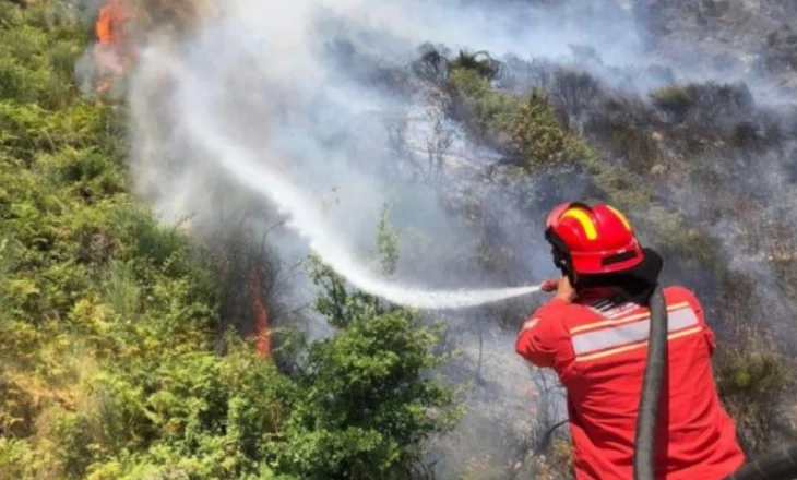 Zjarr në Strelcë të Maliqit, digjen kullotat e fshatit