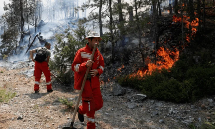 Zjarre dhe në Berat, rrezikohen banesa dhe toka bujqësore