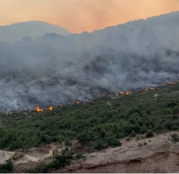 Zjarre në Gjirokastër / Vijë aktive mbi 10 km, mbi 60 forca në terren për izolimin e flakëve