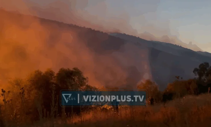 Zjarret kërcënojnë bregdetin, situatë kritike në Sasaj, Lukovë dhe Shën Vasil. Gjendje e rënduar edhe në Parkun e Lurës