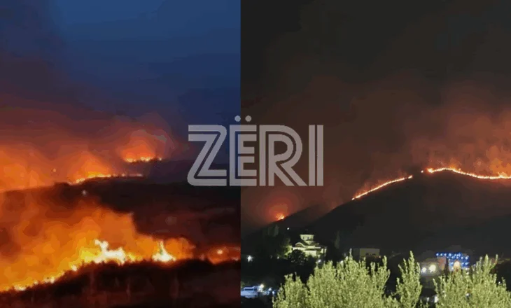 Zjarret “mbërthejnë” jugun/ Flakët “gllabërojnë” malin e Borshit, situatë e rëndë dhe në Shashicë