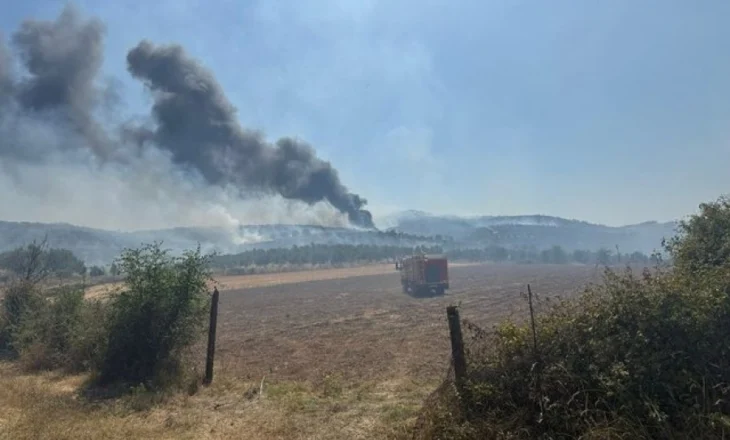 Zjarret në Belsh dhe Lurë nën kontroll/ Fikja e vatrave me mbështetje nga avionë ‘Canadair’ nga Italia dhe Greqia