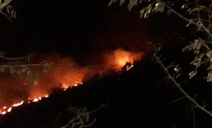 Zjarret në Gjirokastër, rrezikohet zona e mbrojtur e Piksit (VIDEO)
