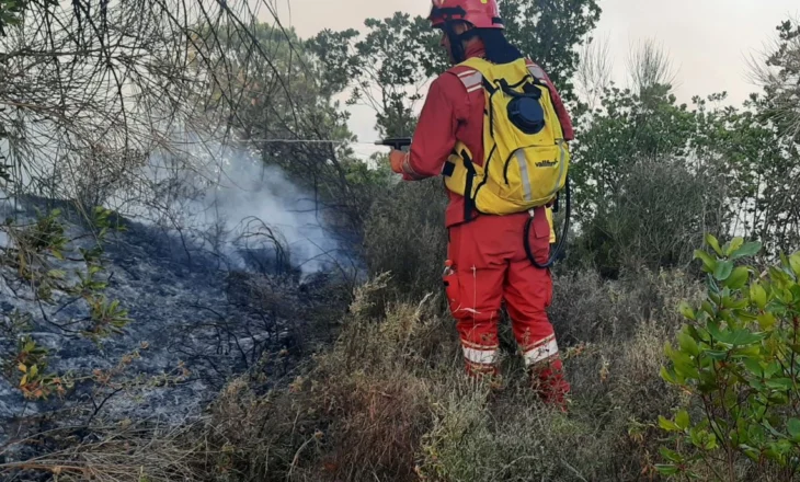 Zjarret në vend, Mbrojtja: Gjatë 24 orëve janë raportuar 20 vatra, 3 ende aktive