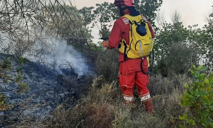 Zjarret në vend, Mbrojtja jep detajet: Gjatë 24 orëve janë raportuar 20 vatra, 3 ende aktive