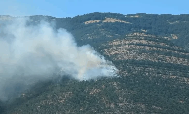 Zjarret në vend/ Në 24 orë janë raportuar 21 vatra, katër prej tyre janë ende aktive