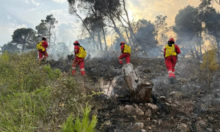 Zjarret nuk ndalen/ Situatë kritike në Parkun Kombëtar të Lurës, 11 vatra aktive në gjithë vendin