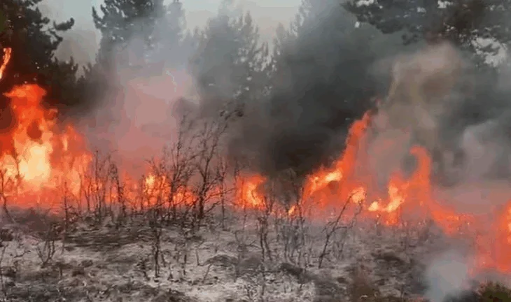 Zjarret përfshijnë disa zona në vend, ndërhyrje nga ajri dhe toka. Ngrihen dronët Bayraktar!