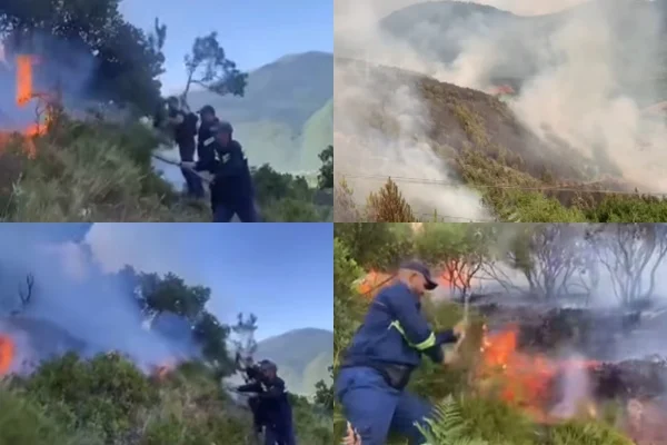 Zjarret po shkrumbojnë Shqipërinë! 26 vatra në të gjithë vendin, ja qarqet më të rrezikuara