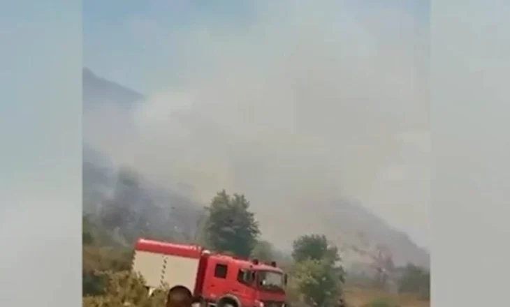 Zjarri dogji 8 hektarë bimësi, arrestohet 25-vjeçari në Konispol