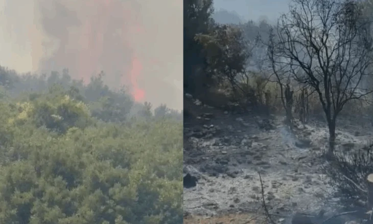 Zjarri i madh në Markat të Konispolit, banorët largohen me urgjencë nga shtëpitë