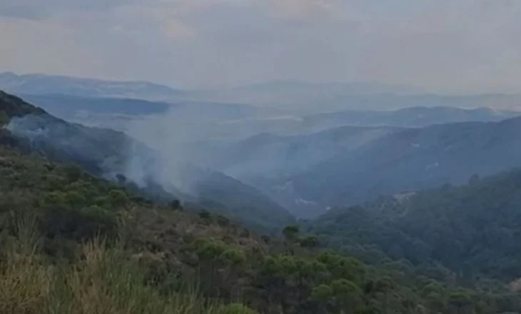 Zjarri në Drenovë të Mallakastrës, reshjet e shiut shuan disa vatra