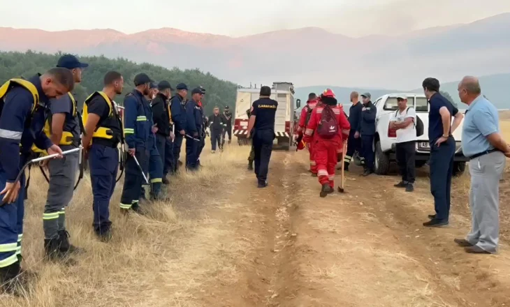 Zjarri në Parkun e Prespës, kryebashkiaku i Pustecit: Terren i vështirë