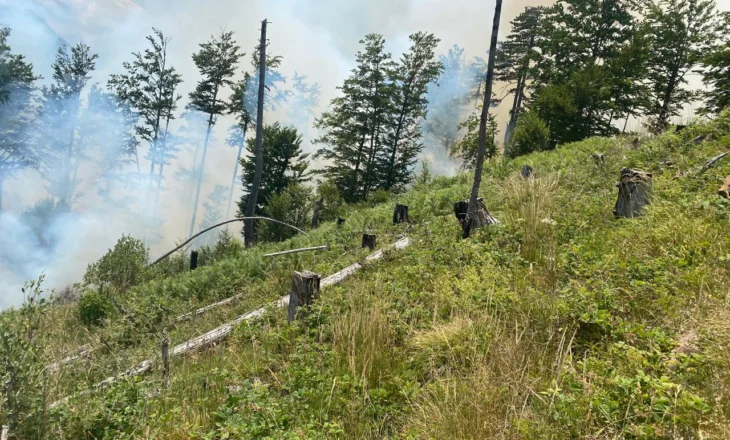 Zjarri në Parkun Kombëtar të Lurës, Forcat e Armatosura i bashkohen grupeve për shuarjen e flakëve