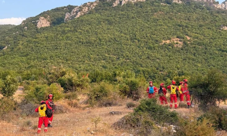 Zjarri në parkun kombëtar të Prespës, 75 forca ndërhyjnë për neutralizimin e flakëve