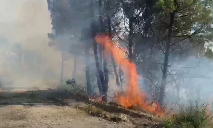 Zjarri në Senicë, digjen disa banesa të fshatit, flakët nuk kursejnë as Kishën e Shën Dhimitrit