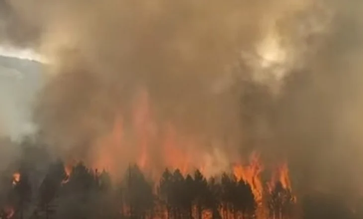 Zjarri përfshin masivin pyjor në Qafë Buall, Rruga e Arbrit mbulohet nga tymi, alarmohen banorët