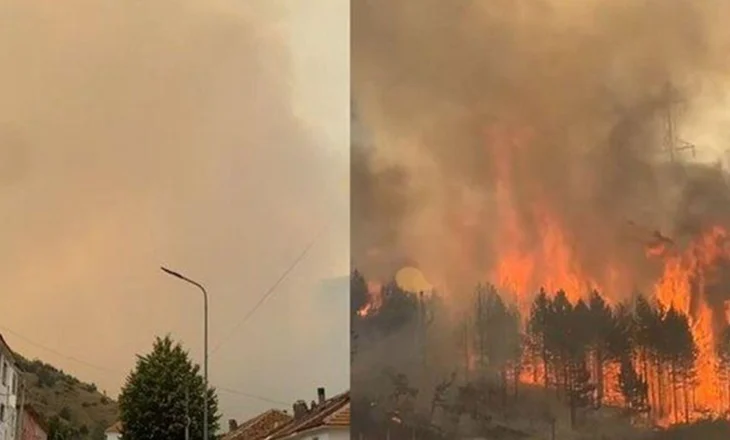 Zj’arri përfshin masivin pyjor në Qafë Buall, Rruga e Arbrit mbulohet nga tymi, alarmohen banorët