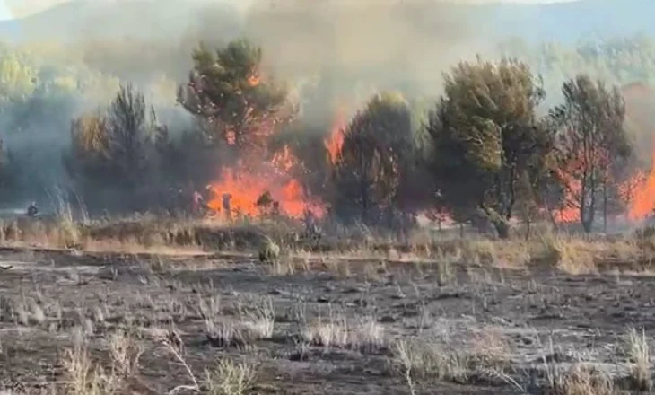 Zjarri përfshin zonën e Zvërnecit, era e fortë favorizon flakët, rrezikohen dy hotele