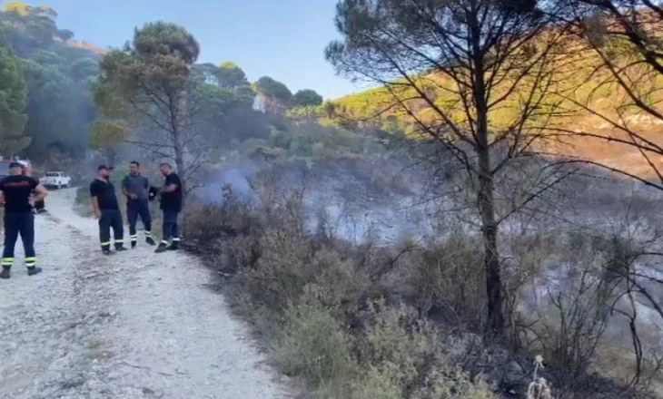 Zjarri shkrumbon kodrat e Belishovës në Fier