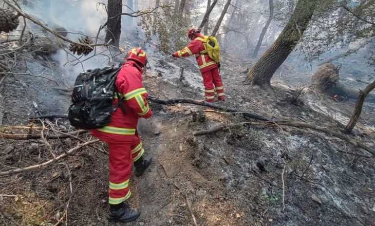 14 vatra aktive gjatë orëve të fundit në vend, problematike situata në Poliçan! Çekia dhe Sllovakia dërgojnë helikopterë në Kuçovë
