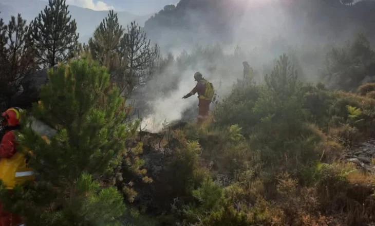 16 vatra zjarri në 24 orët e fundit/ Aktive vetëm një në Skrapar, nën monitorim flakët në Parkun Kombëtar të Lurës