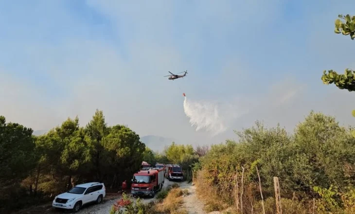 19 vatra zjarri në 24 orë! Finiqi, Mallakastra e Mirdita në ‘flakë’