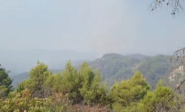 21 vatra zjarri gjatë 24 orëve/ Vijojnë flakët në Vlorë, Fier dhe Berat