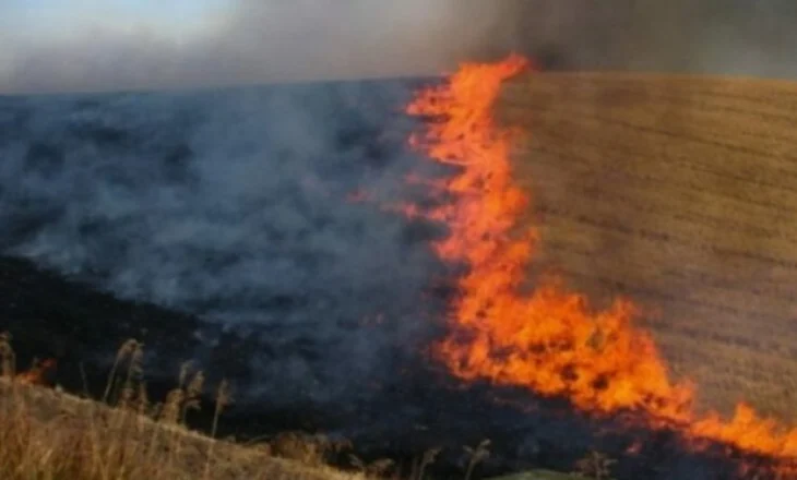 25 vatra zjarri në 24-orë, Mbrojtja: Rrufeja shkakton zjarr në një sipërfaqe pyjore në Finiq
