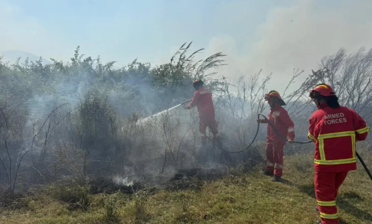 38 vatra zjarri në 24 orë, të huajt që po kontrollojnë flakët tona