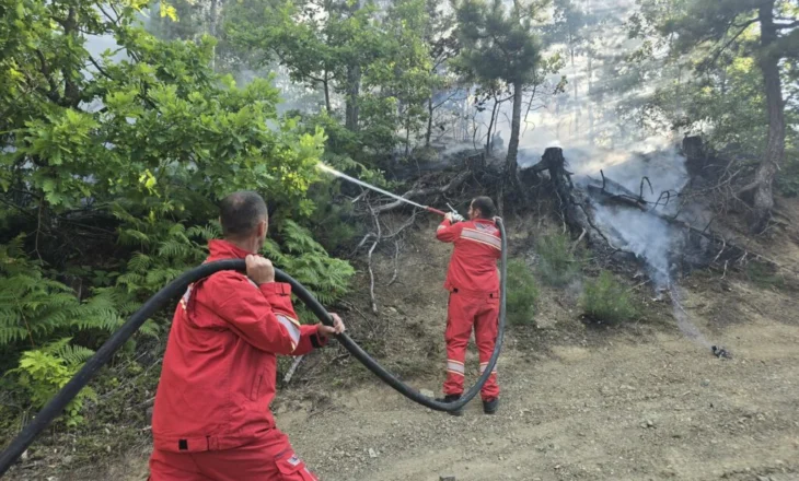 50 vatra zjarri në gjithë vendin, jugu mbetet zona më problematike (19 ende aktive)