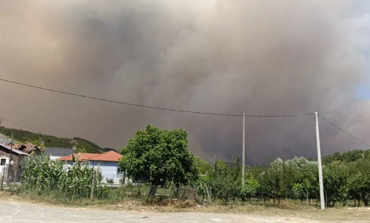 80-vjeçari humb jetën mes flakëve në Gramsh! Dyshohet se i moshuari ndezi zjarr në kopshtin e banesës në Kullollas, situata i doli nga kontrolli
