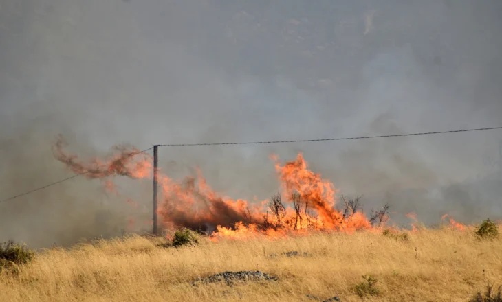ALARM/ Flakët nga Delvina përparojnë drejt Gjirokastrës, rrezikon Lazarati (VIDEO)