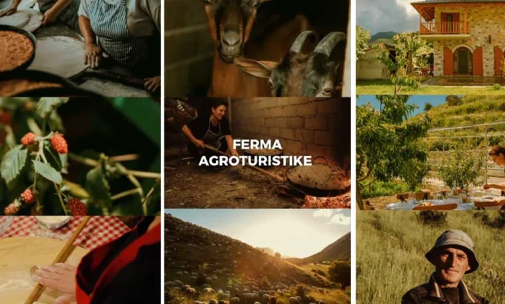 Anila Denaj: Zbulo Shqipërinë si një mozaik i gjallë ngjyrash, shijesh dhe traditash, përmes fermave agroturistike