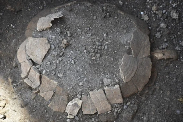 Arkeologët zbulojnë breshkën 2000-vjeçare në Pompei￼￼