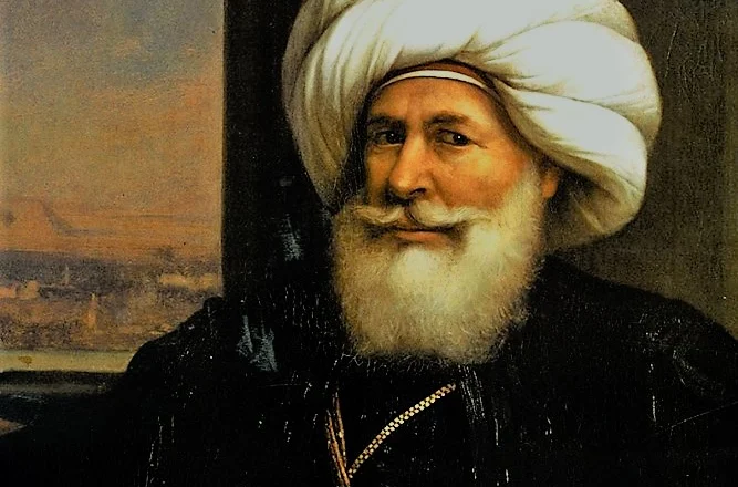 Arnauti Mehmet Ali Pasha, ‘Napoleoni musliman’
