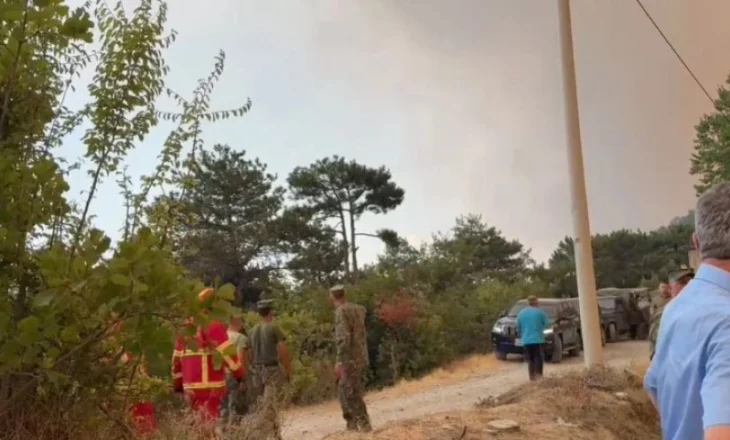 Autoritetet urdher evakuimi, zjarri ne Poliçan shkon drejtë përmasave katastrofale