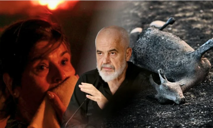 Banesa dhe krerë të humbur nga zjarret? Rama garanton rifinancim një më një!