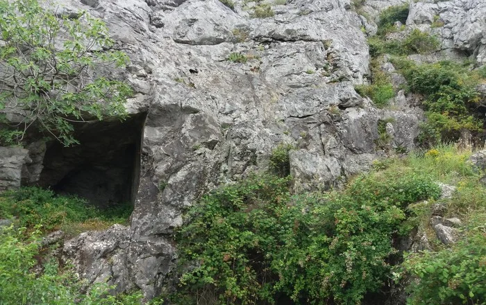 Banorët e tejlashtë të vendit tonë dhe mënyra e tyre e jetesës