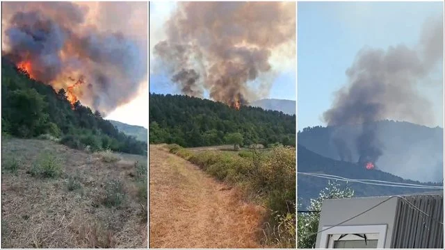 Banorët në panik/ Zjarr i fuqishëm në Gramsh, situata del jashtë kontrollit, flakët përhapet drejt fshatit Snosem