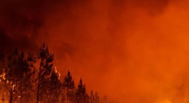 Bashkimi Evropian përballet me sezonin më të keq të zjarreve në histori