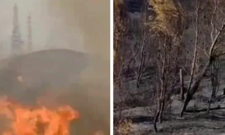 Berati me dëme kolosale nga zjarret, 3 vatra mbeten ende aktive në këtë qark
