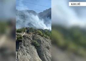 Bie në prangat e policisë 19-vjeçari/ Pas konfliktit për motive pronësie, djeg ullishtet, i dënuar për lëndë narkotike