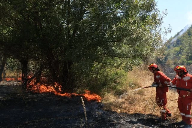 BIRN: Shqipëria në emergjencë lufton e keqpajisur me flakët