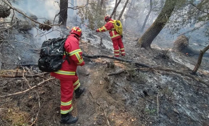 Çekia dërgon helikopterin në Kuçovë/ 14 vatra aktive gjatë orëve të fundit në vend, situata paraqitet alarmante
